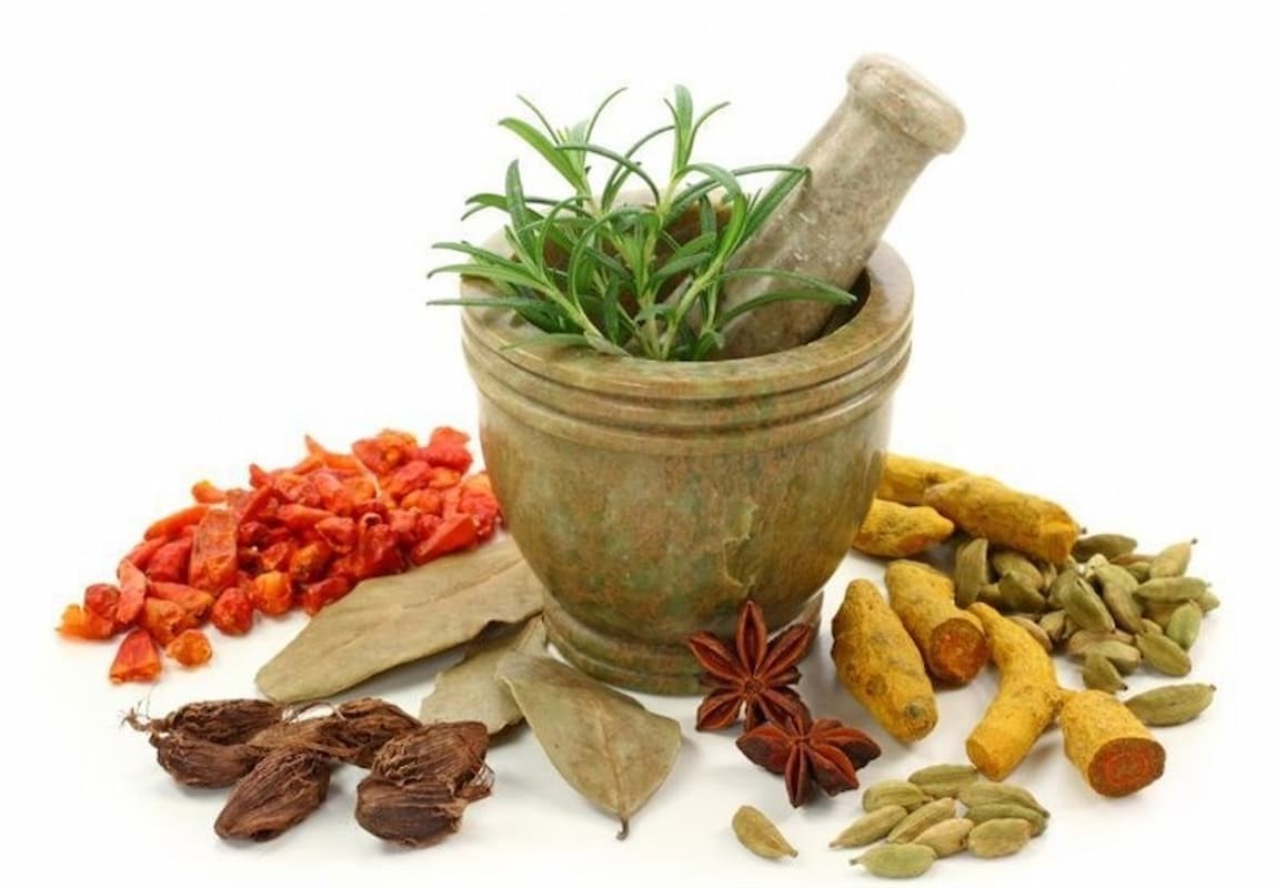 مزاج‌شناسی چیست و چند نوع مزاج داریم؟