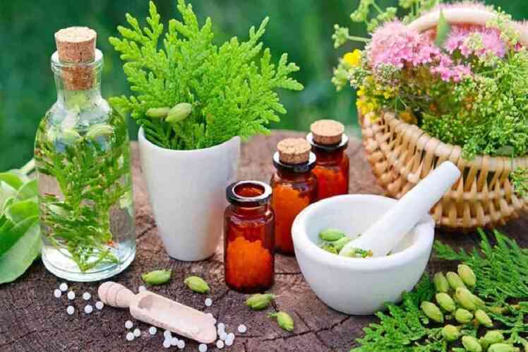 چرا گیاهان دارویی بهترین انتخاب برای درمان طبیعی و جلوگیری از بیماری هستند؟